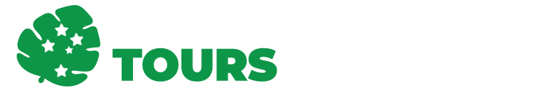 Southern Cross Tours Web Logo