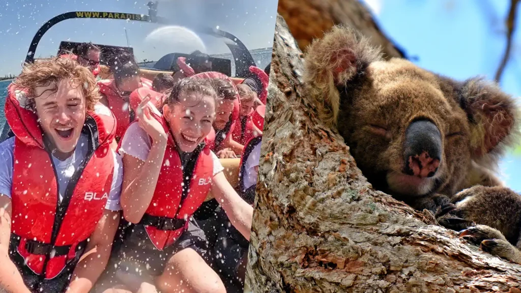 Koalas & Jet Boating