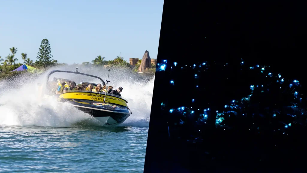 Glow Worms & Jet Boating