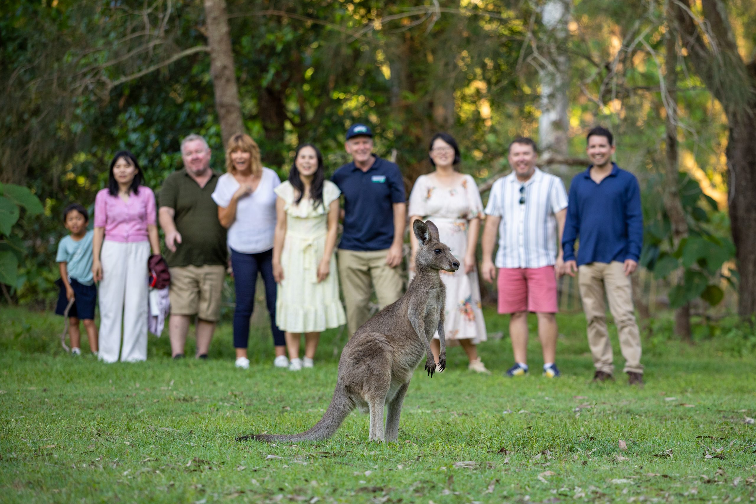 Southern Cross Tour group looking at kangaroos